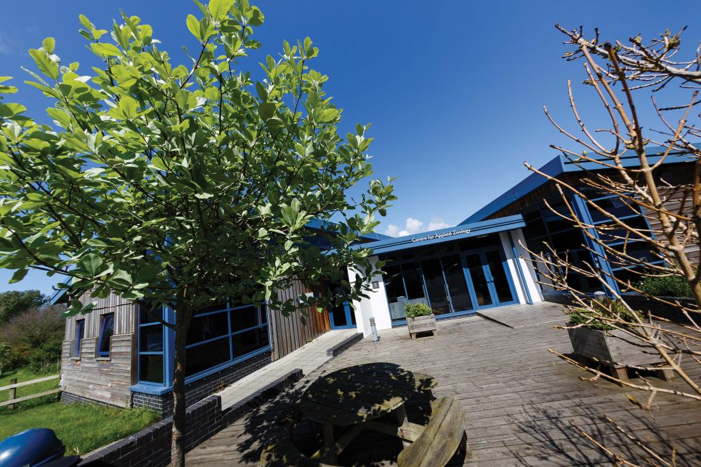 Main reception at Newquay campus