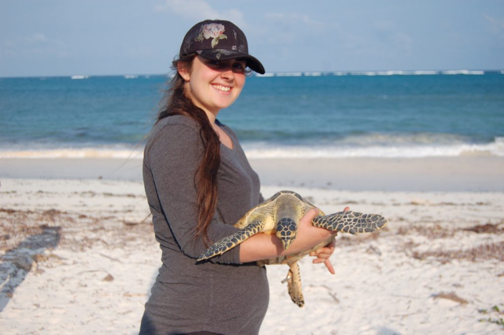 Woman holding sea turtle on beach