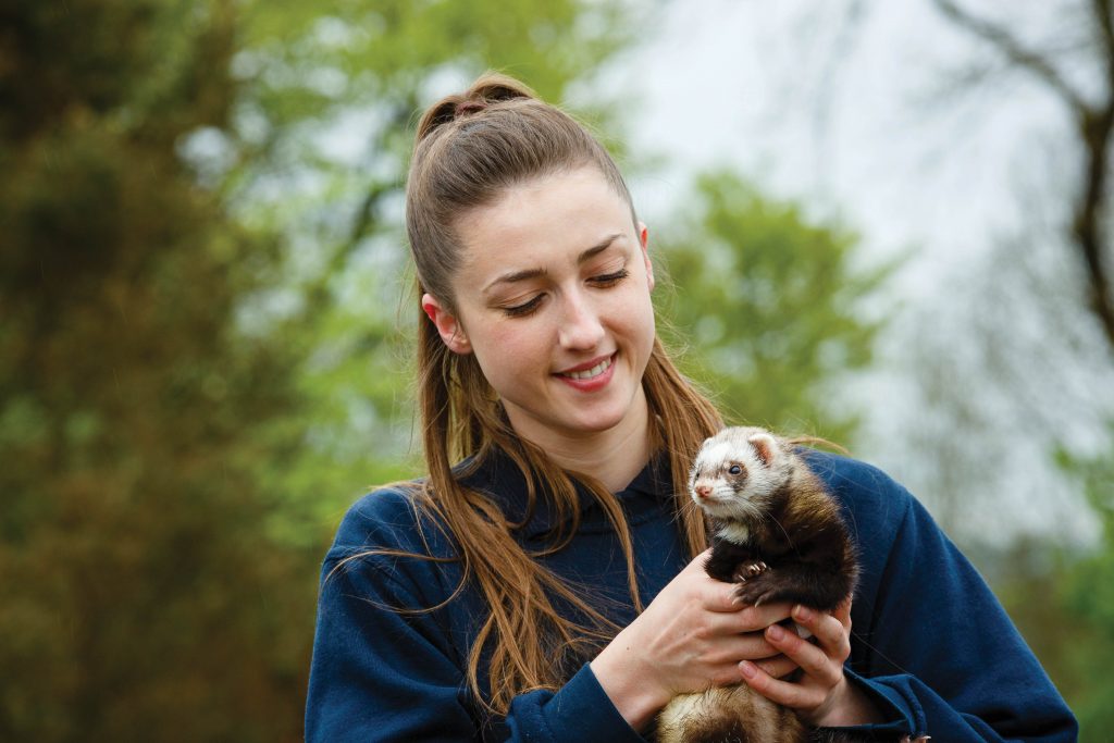 Student smiling while holding a ferret