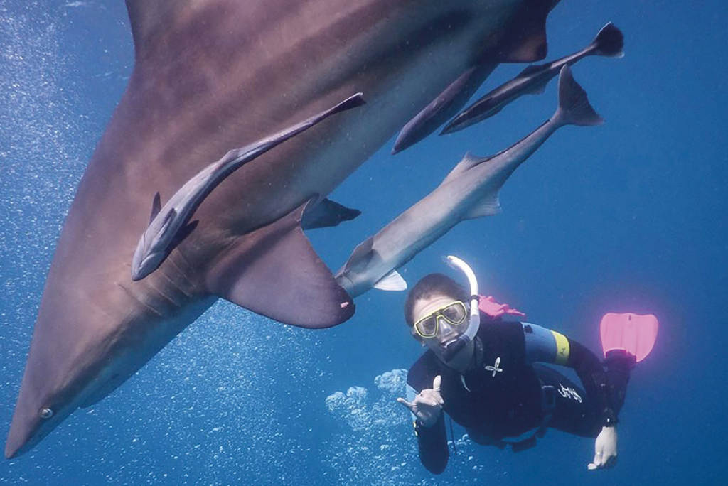 Person swimming underwater next to sharks