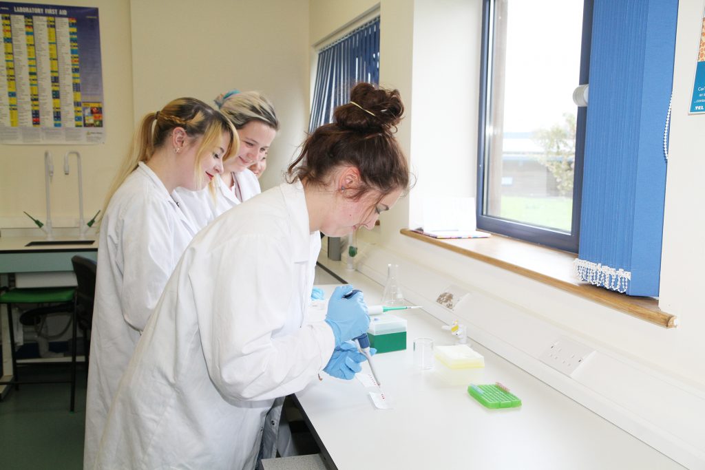 Three students during laboratory practice