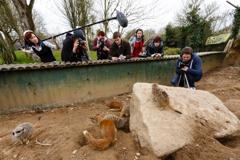 Group of students filming animals in zoo