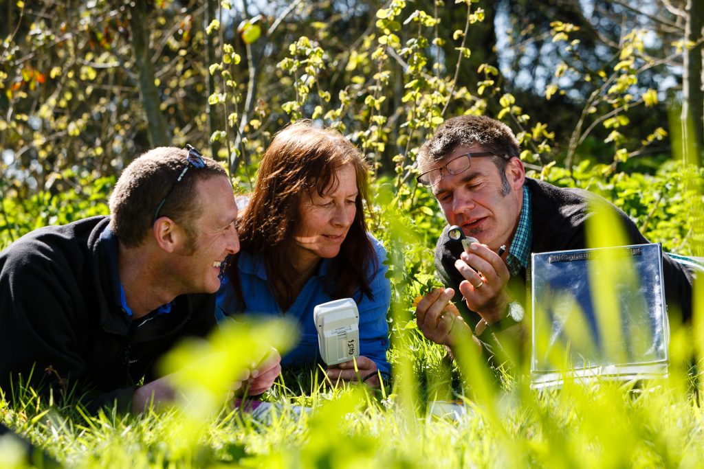 Three people laying on grass while analysing an object